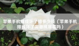 苹果手机排线坏了修多少钱（苹果手机排线坏了需要换屏幕吗）