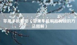 苹果手机解密（苹果手机解密码锁的方法图解）