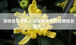 顶级音乐手机（顶级音乐手机音质排名前十）