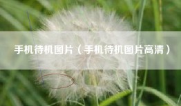 手机待机图片（手机待机图片高清）