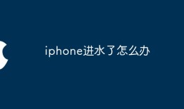 iphone进水了怎么办苹果手机进水「iphone进水了怎么办」