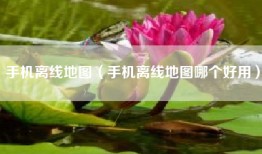 手机离线地图（手机离线地图哪个好用）