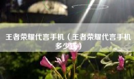 王者荣耀代言手机（王者荣耀代言手机多少钱）