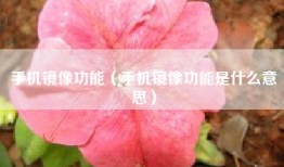手机镜像功能（手机镜像功能是什么意思）