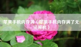 苹果手机内存满（苹果手机内存满了无法开机）