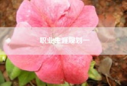 职业生涯规划一
