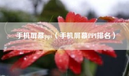 手机屏幕ppi（手机屏幕PPI排名）