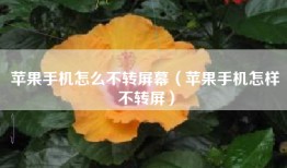 苹果手机怎么不转屏幕（苹果手机怎样不转屏）