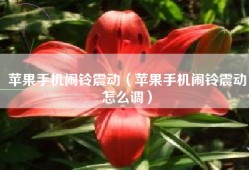 苹果手机闹铃震动（苹果手机闹铃震动怎么调）