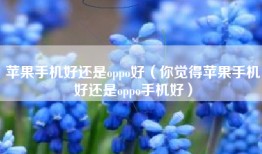 苹果手机好还是oppo好（你觉得苹果手机好还是oppo手机好）