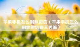 苹果手机怎么删除微信（苹果手机怎么删除微信聊天界面）