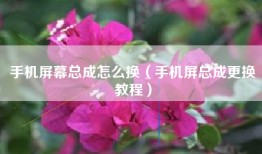 手机屏幕总成怎么换（手机屏总成更换教程）