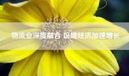 物流业深度融合 区域经济加速增长