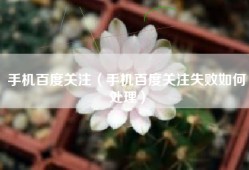 手机百度关注（手机百度关注失败如何处理）