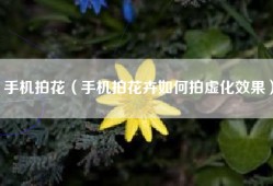 手机拍花（手机拍花卉如何拍虚化效果）