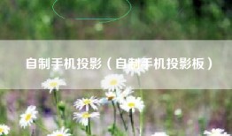 自制手机投影（自制手机投影板）