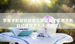 苹果手机旋转屏幕在哪设置（苹果手机自动横屏怎么关闭设置）