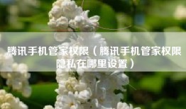 腾讯手机管家权限（腾讯手机管家权限隐私在哪里设置）