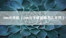 5000元手机（5000元手机被偷怎么处罚）