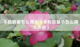 手机音量怎么调大（手机音量小怎么调大声音）