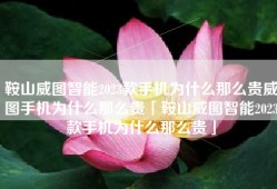 鞍山威图智能2023款手机为什么那么贵威图手机为什么那么贵「鞍山威图智能2023款手机为什么那么贵」