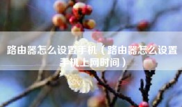 路由器怎么设置手机（路由器怎么设置手机上网时间）
