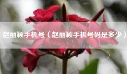 赵丽颖手机号（赵丽颖手机号码是多少）