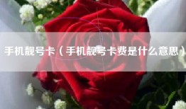 手机靓号卡（手机靓号卡费是什么意思）