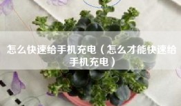 怎么快速给手机充电（怎么才能快速给手机充电）