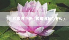 手机税税通下载（税税通怎么下载）
