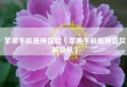 苹果手机抵押贷款（苹果手机抵押贷款被锁机）