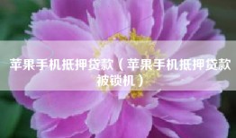 苹果手机抵押贷款（苹果手机抵押贷款被锁机）