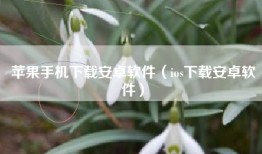 苹果手机下载安卓软件（ios下载安卓软件）