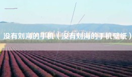 没有刘海的手机（没有刘海的手机壁纸）