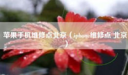 苹果手机维修点北京（iphone维修点 北京）