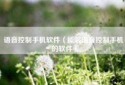 语音控制手机软件（能够语音控制手机的软件）