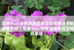 苹果iPhone手机换屏教程及维修事项手机维修教程「苹果iPhone手机换屏教程及维修事项」