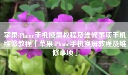 苹果iPhone手机换屏教程及维修事项手机维修教程「苹果iPhone手机换屏教程及维修事项」