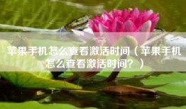 苹果手机怎么查看激活时间（苹果手机怎么查看激活时间？）