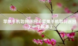 苹果手机如何返回（苹果手机如何返回上一个版本）