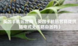 英国手机运营商（英国手机运营商提供插电式无线路由器吗）