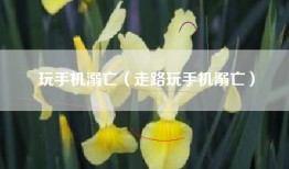 玩手机溺亡（走路玩手机溺亡）
