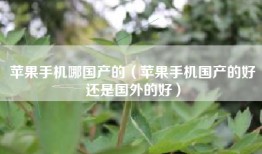 苹果手机哪国产的（苹果手机国产的好还是国外的好）
