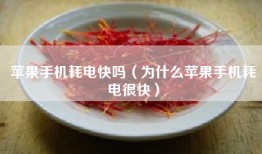 苹果手机耗电快吗（为什么苹果手机耗电很快）