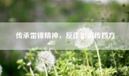 传承雷锋精神，反诈知识传四方