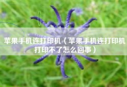 苹果手机连打印机（苹果手机连打印机打印不了怎么回事）