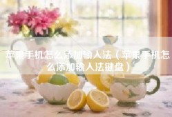 苹果手机怎么添加输入法（苹果手机怎么添加输入法键盘）
