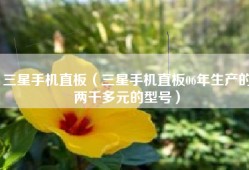 三星手机直板（三星手机直板06年生产的两千多元的型号）