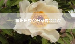 耀州区委召开常委会会议