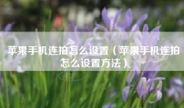 苹果手机连拍怎么设置（苹果手机连拍怎么设置方法）